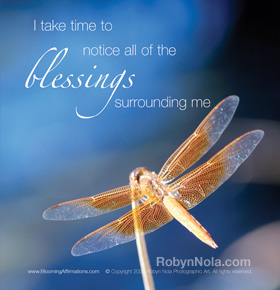 I take time to notice all of the blessings surrounding me.