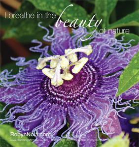 I breathe in the beauty of nature.